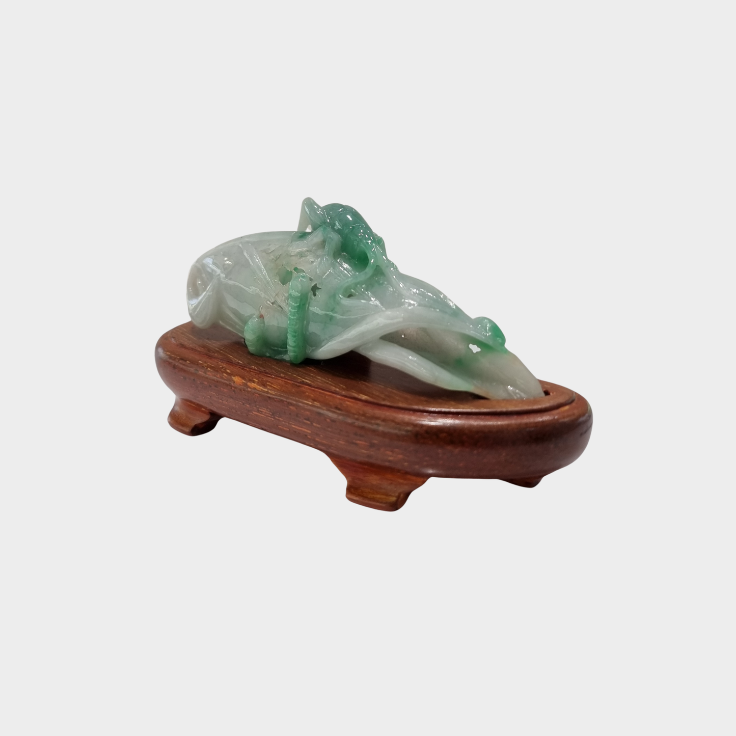 "Bug and Leaf" Jadeite Jade Display