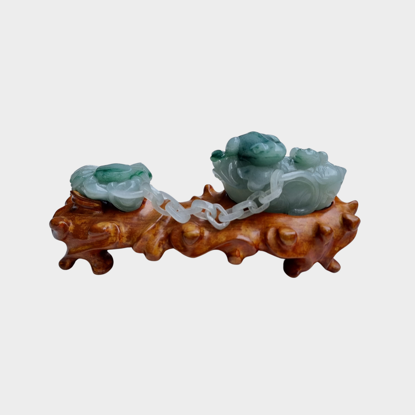 "The Calm Vertebrates" Jadeite Jade Display