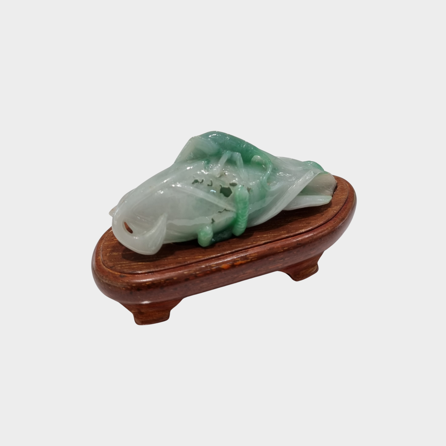 "Bug and Leaf" Jadeite Jade Display