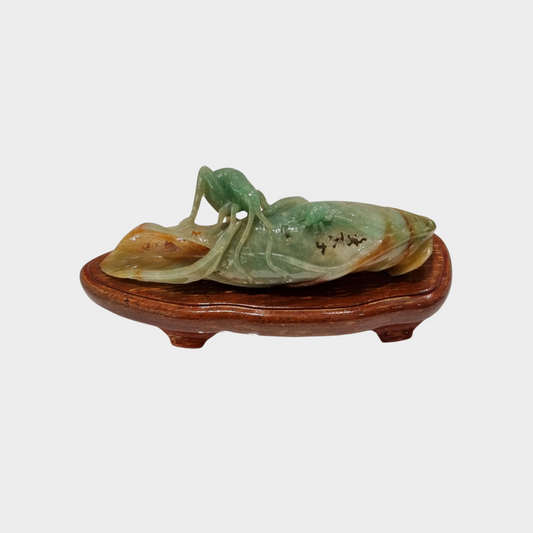 "Bug and Dried Leaf" Jadeite Jade Display