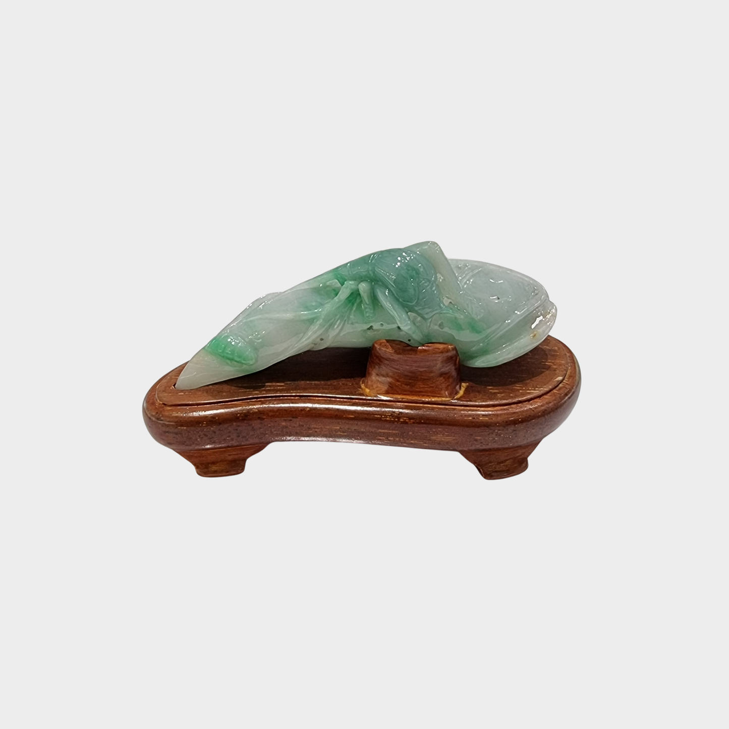 "Bug and Leaf" Jadeite Jade Display