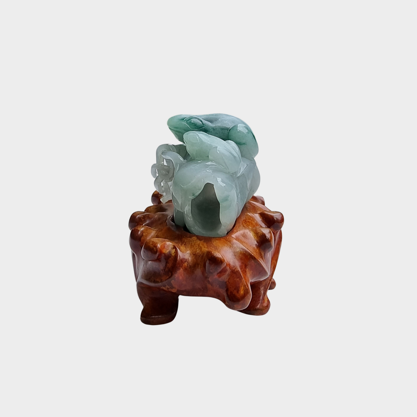 "The Calm Vertebrates" Jadeite Jade Display