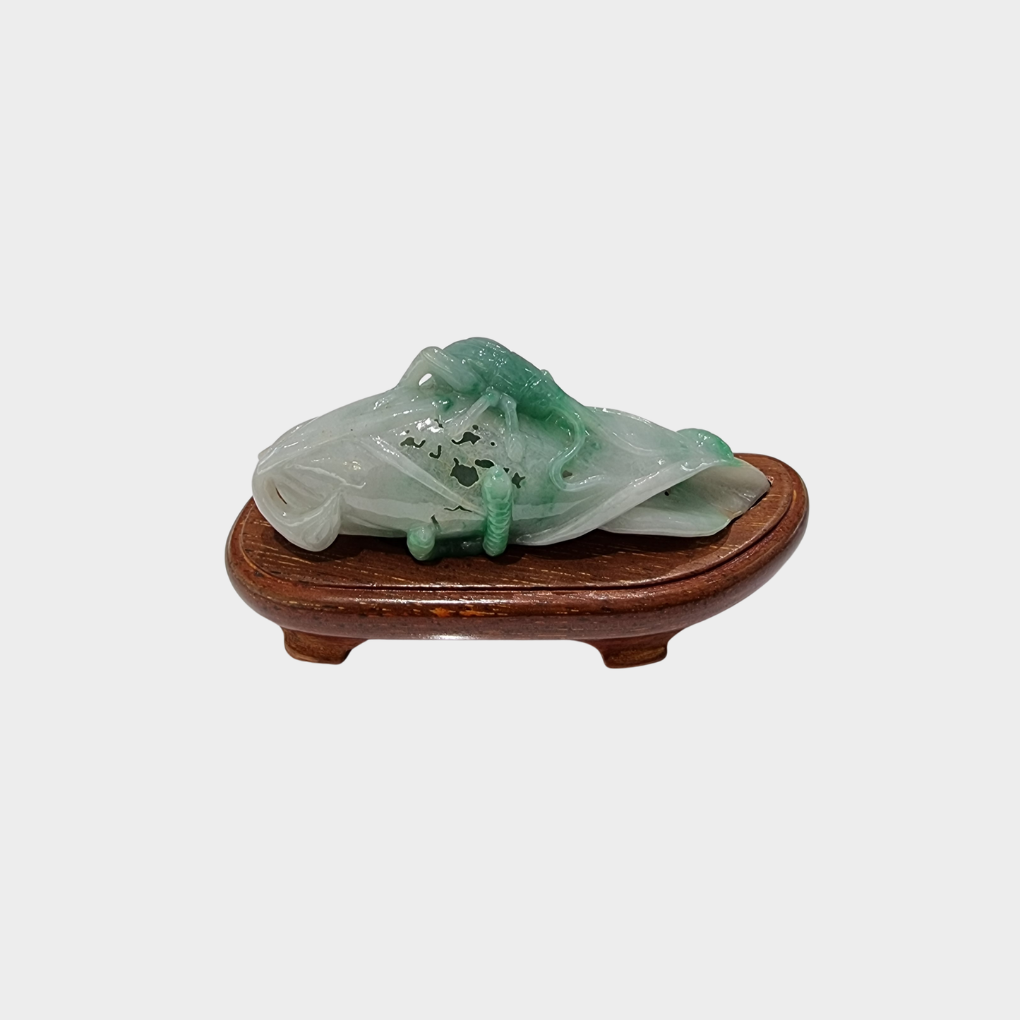 "Bug and Leaf" Jadeite Jade Display