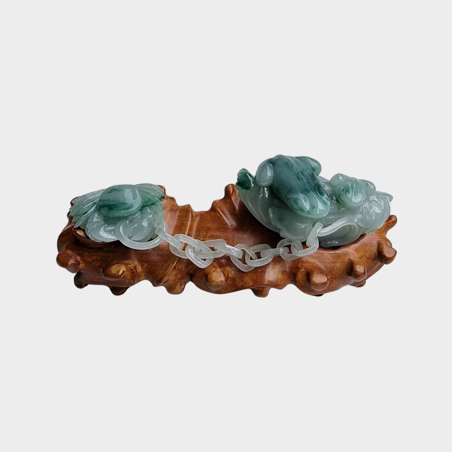 "The Calm Vertebrates" Jadeite Jade Display